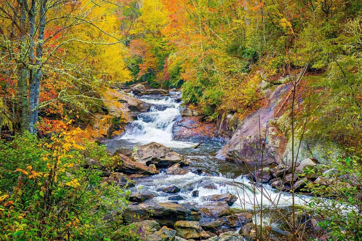 A tranquil view of a flowing stream bordered by colorful autumn foliage and rugged rock formations, inviting visitors to immerse themselves in natural beauty. The calm water and vibrant trees evoke a serene, exploratory mood.
